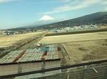 IMG_0691