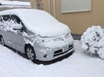 IMG_8638